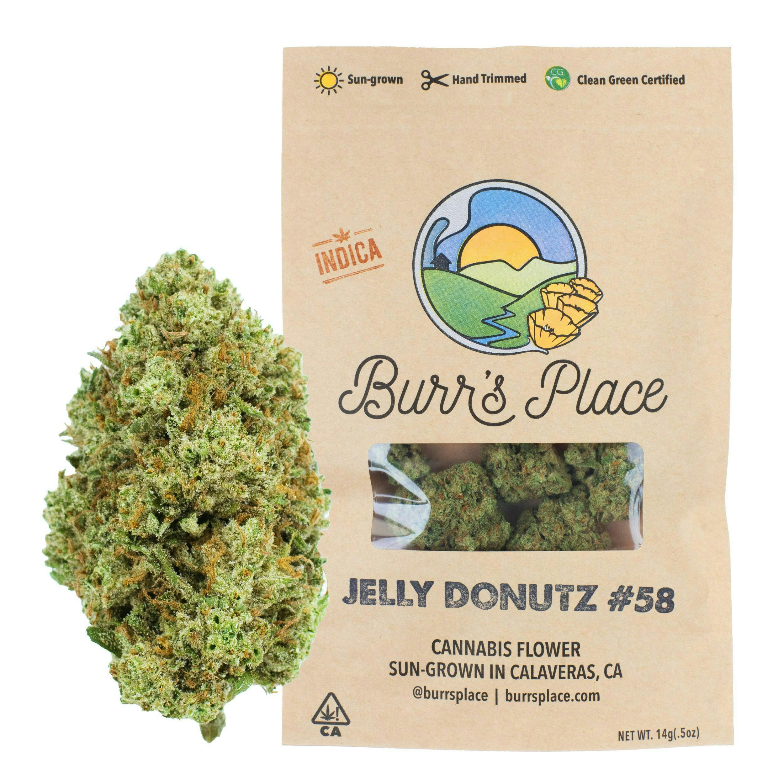 Burr's Place - Burr’s Place | Jelly Donutz | Big Buds | 14g - 1