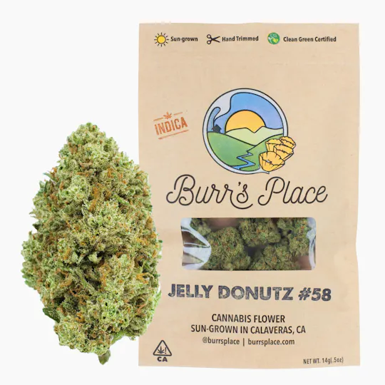 Burr's Place - Burr’s Place | Jelly Donutz | Big Buds | 14g - 1