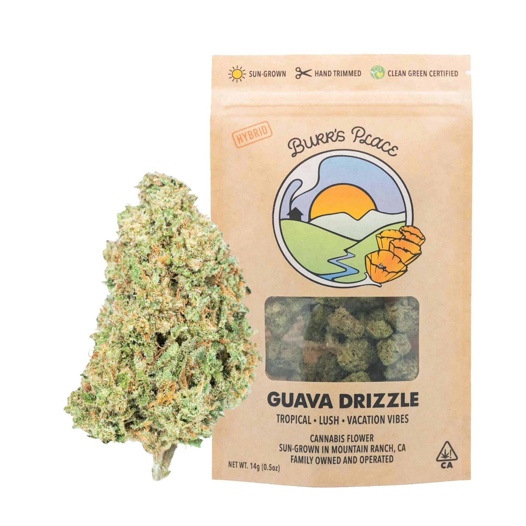 Burr's Place - Jelly Donutz | Big Buds | 14g - 1