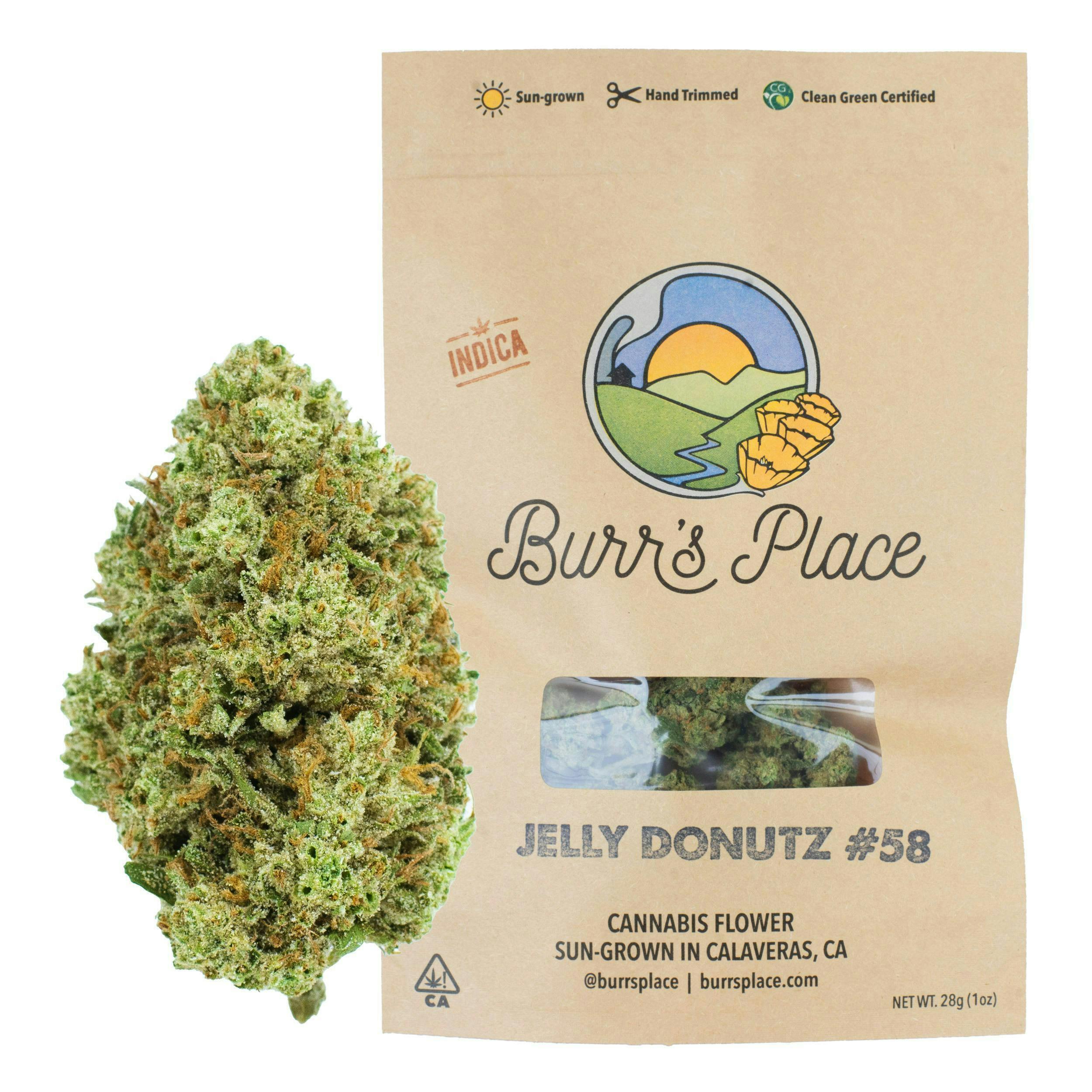 Burr's Place - Burr’s Place | Jelly Donutz | Big Buds | 28g - 1