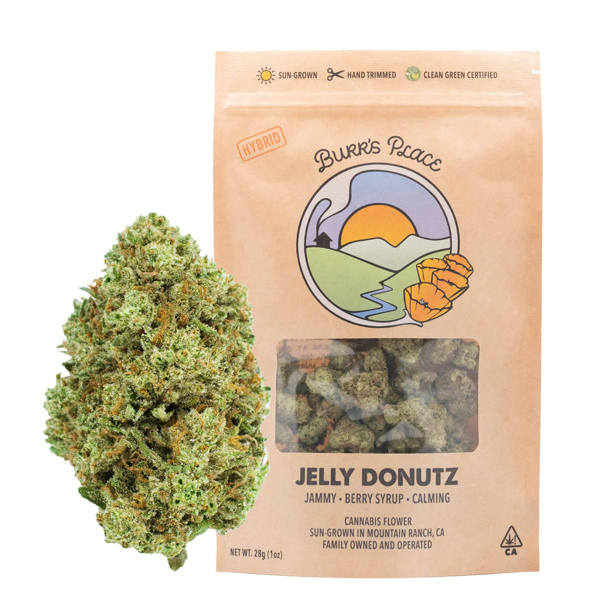 Burr's Place - Jelly Donutz | Big Buds | 28g - 1