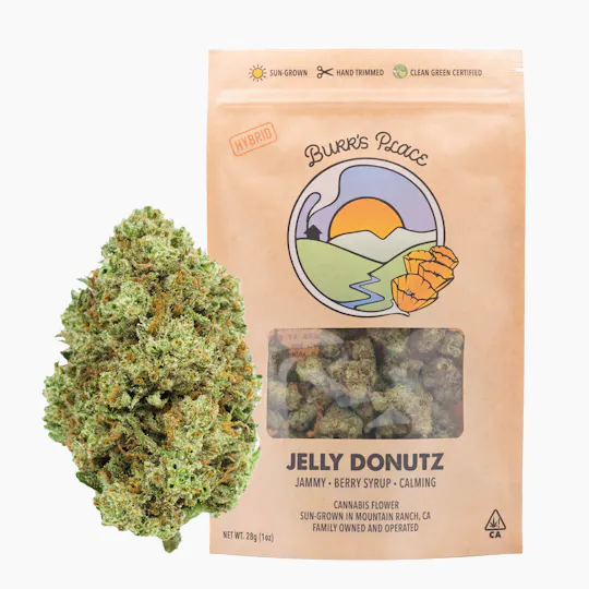 Burr's Place - Jelly Donutz | Big Buds | 28g - 1