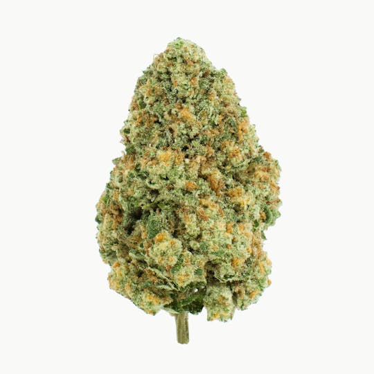 Burr's Place - Burr’s Place | Macaroon #1 - 3.5g Bag (Hybrid) - 1