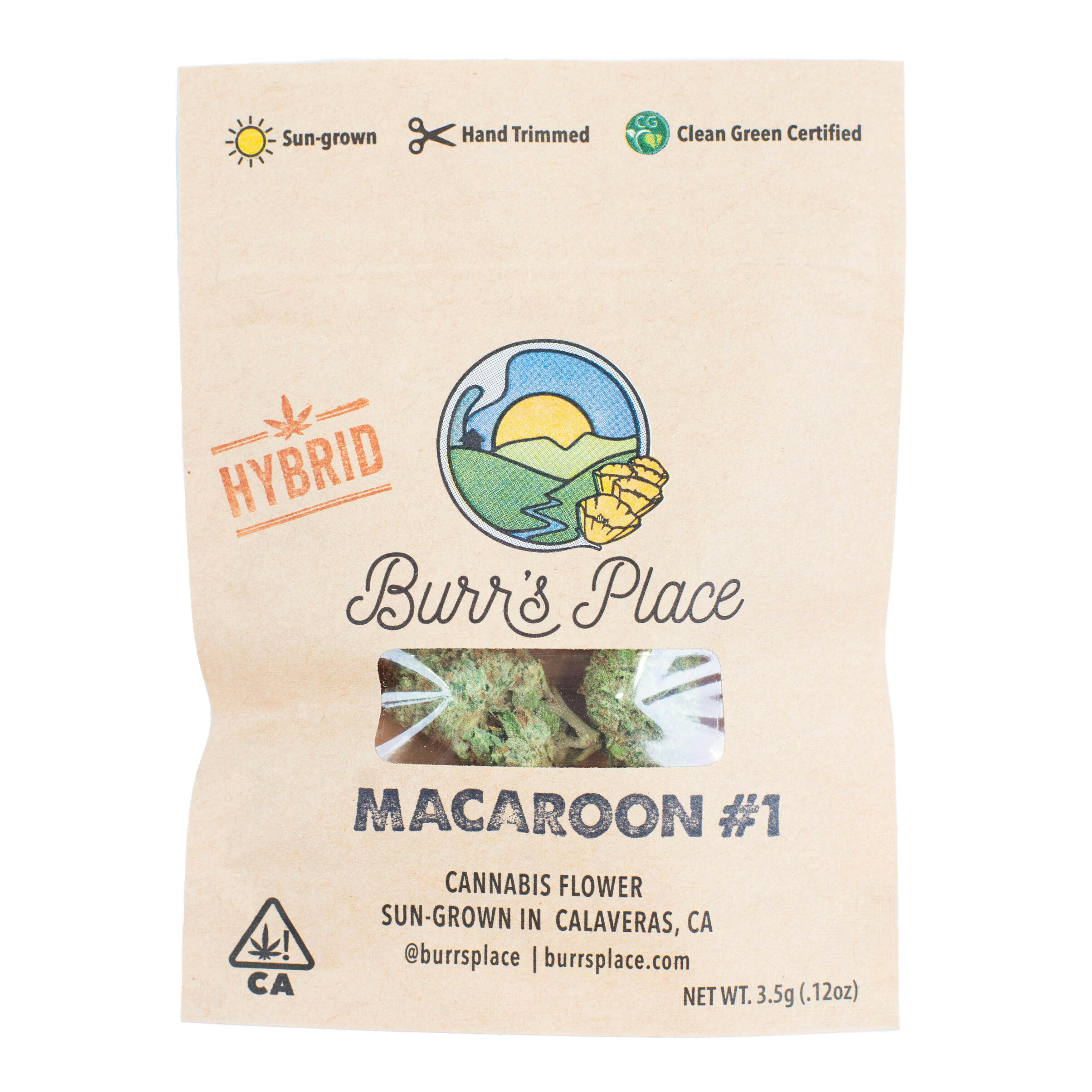 Burr's Place - Burr’s Place | Macaroon #1 | Big Buds | 3.5g - 1