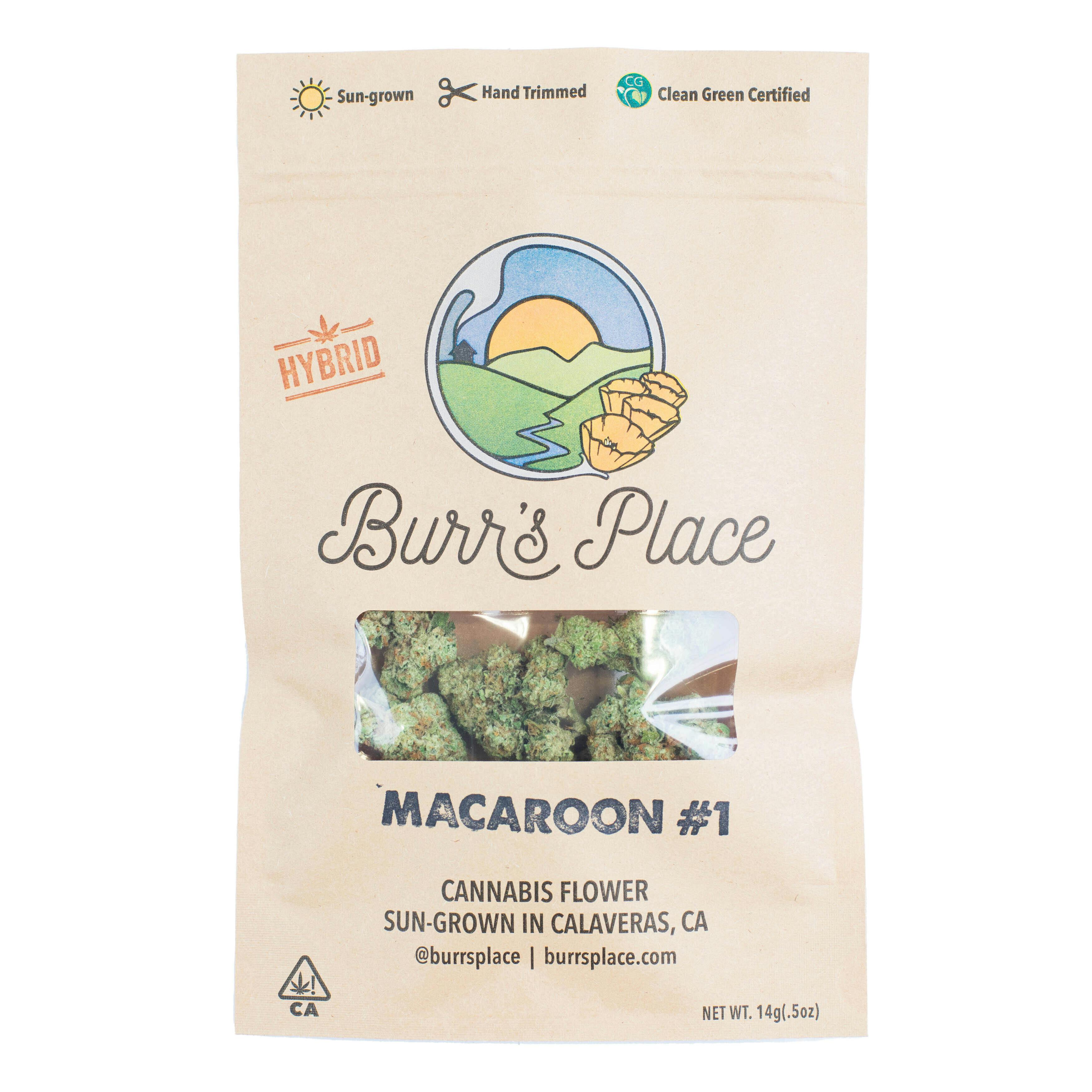 Burr's Place - Macaroon #1 | Big Buds | 14g - 1