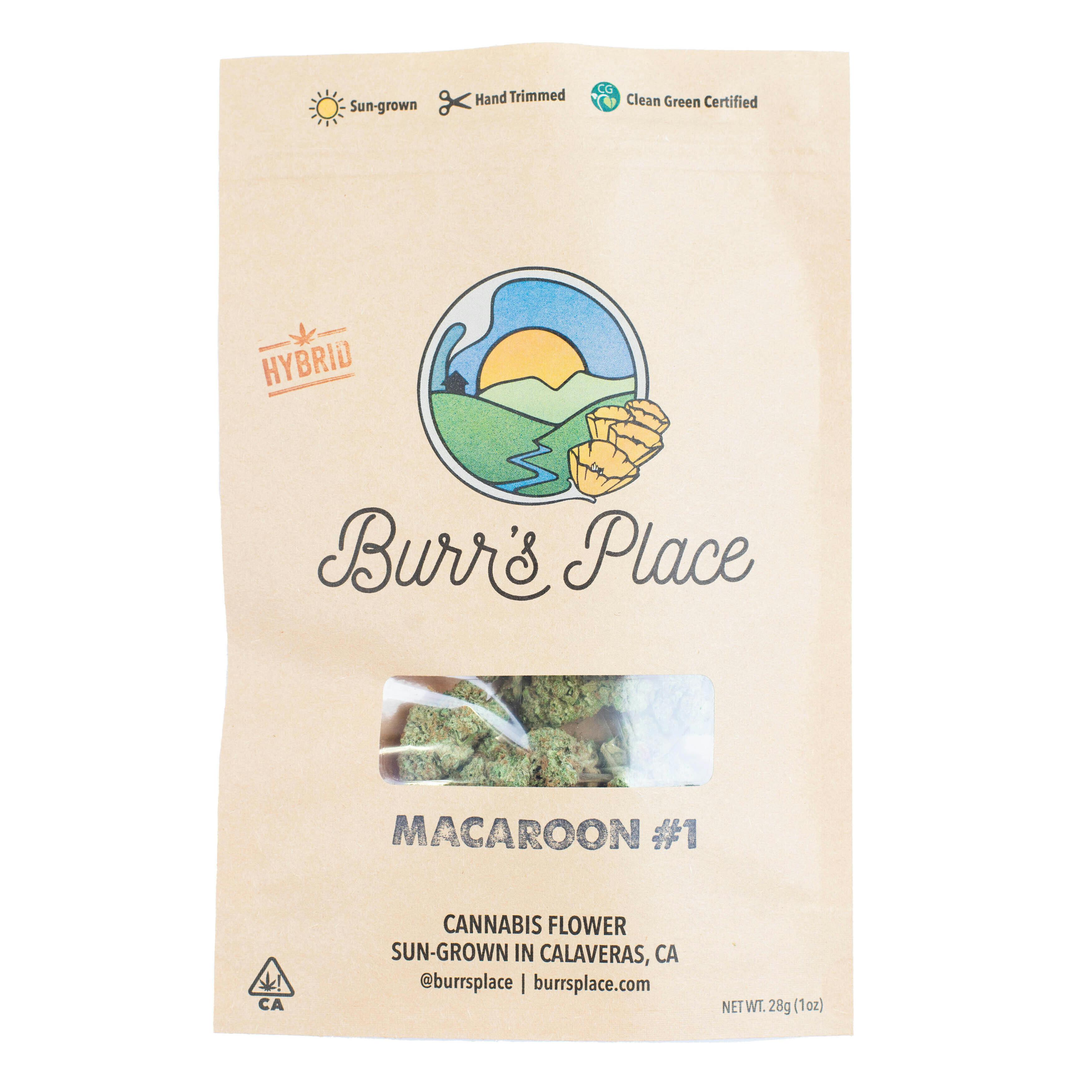 Burr's Place - Burr’s Place | Macaroon #1 | Big Buds | 28g - 1
