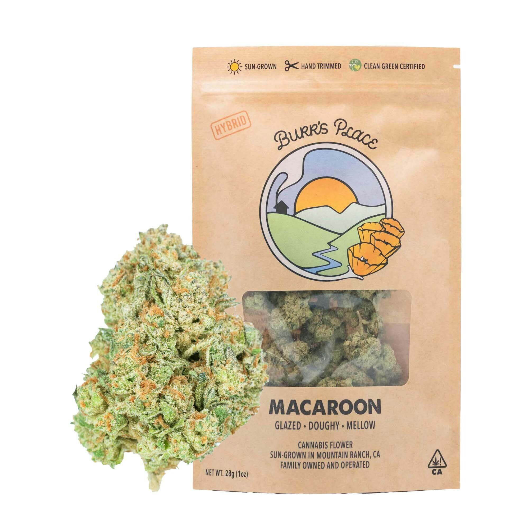 Burr's Place - Macaroon | Big Buds | 28g - 1