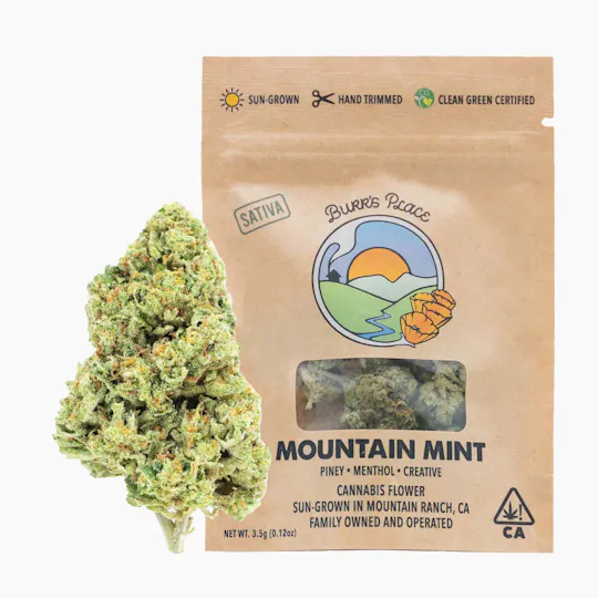 Burr's Place - Mountain Mint | Big Buds | 3.5g - 1