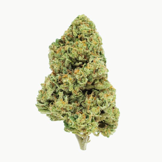 Burr's Place - Burr’s Place | Mountain Mint - 14g Bag (Sativa) - 1