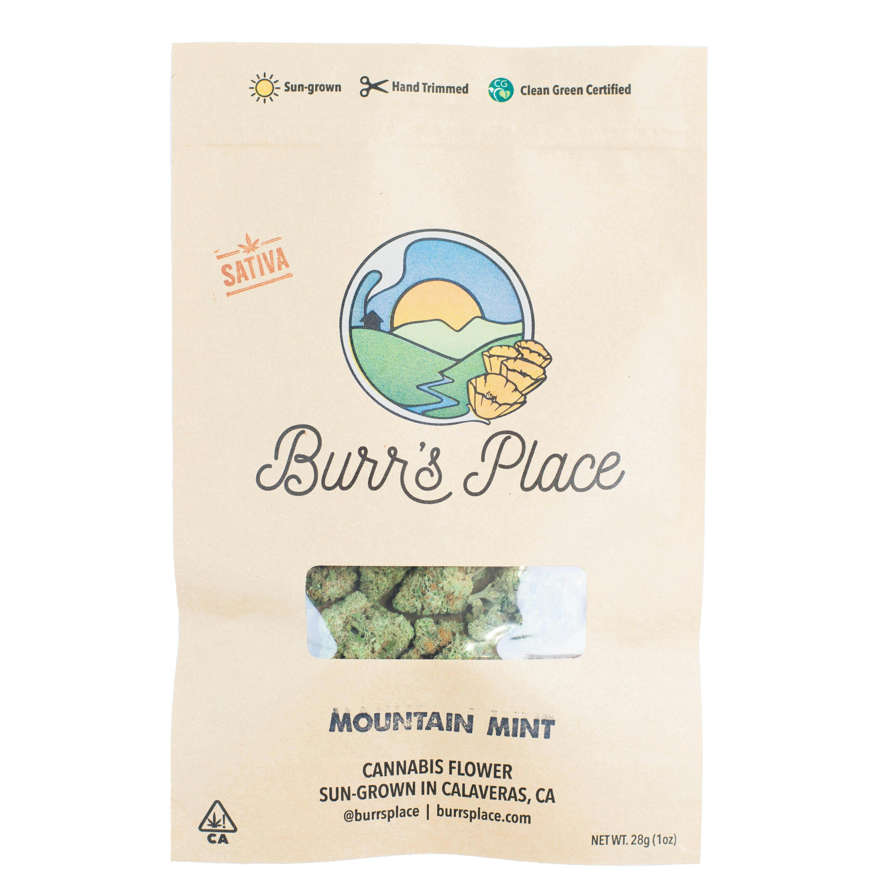 Burr's Place - Burr’s Place | Mountain Mint | Big Buds | 28g - 1