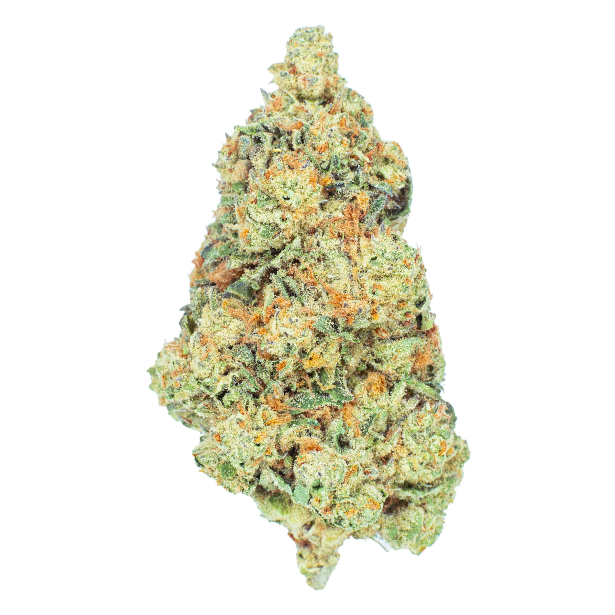 Burr's Place - Poddy Mouth | Big Buds | 14g - 1