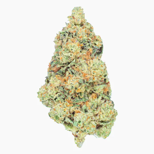 Burr's Place - Poddy Mouth | Big Buds | 14g - 1