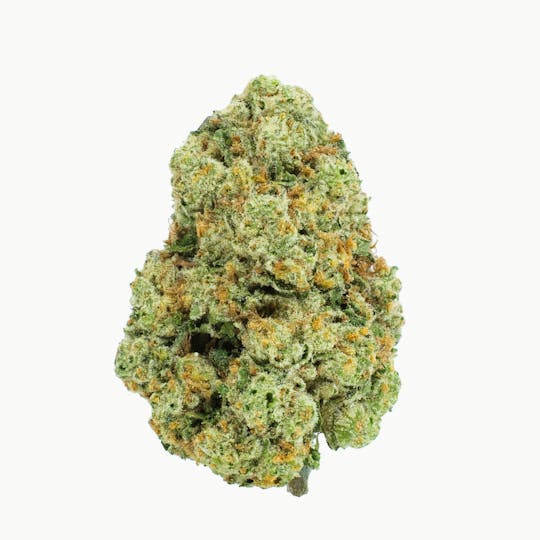 Burr's Place - Burr’s Place | Poddy Mouth #12 - 28g Bag (Hybrid) - 1