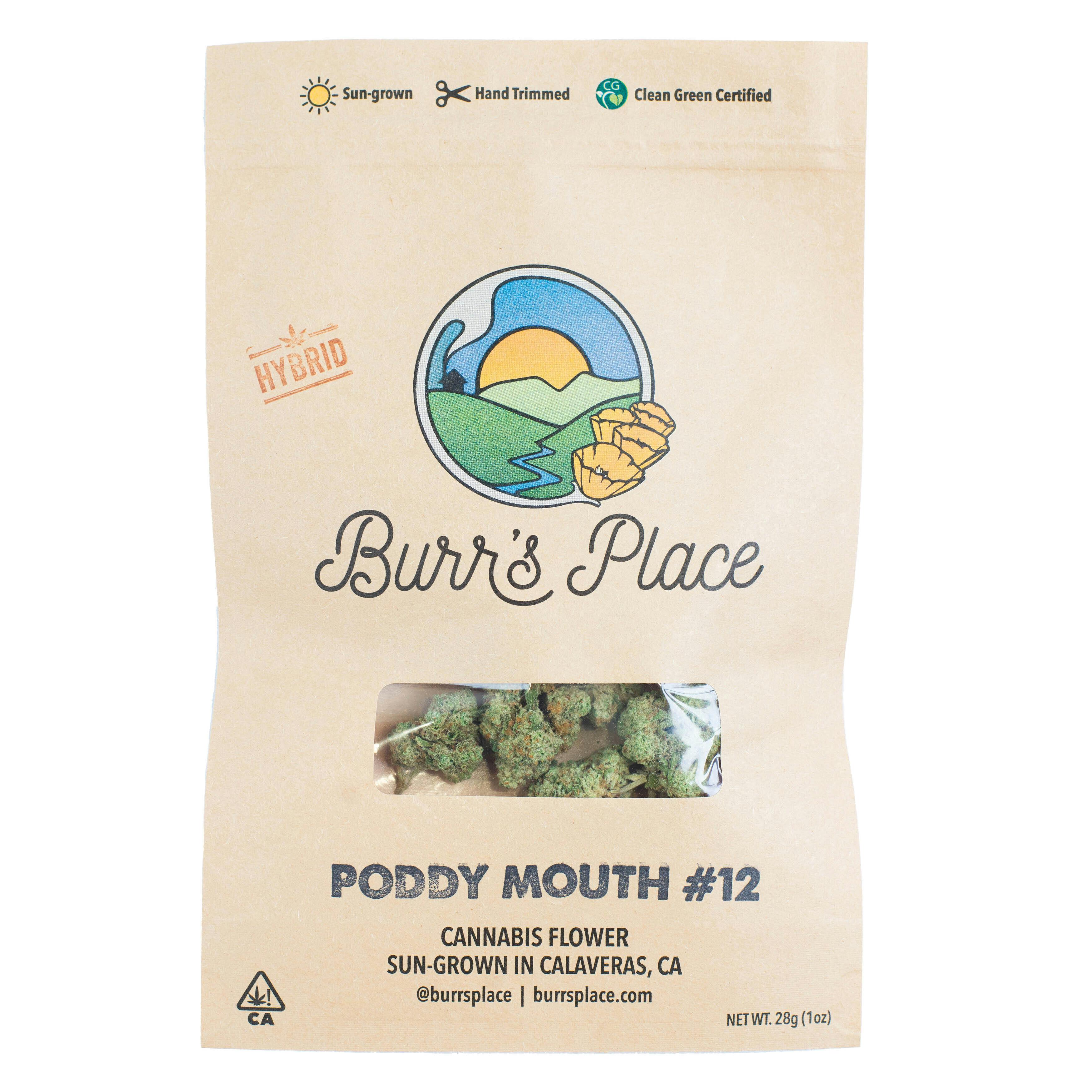 Burr's Place - Burr’s Place | Poddy Mouth #12 | Big Buds | 28g - 1