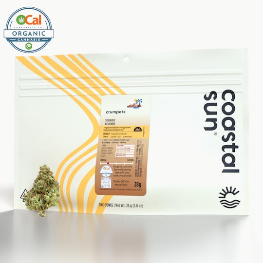 Coastal Sun - Crumpets Sungrown Flower 28g - 1