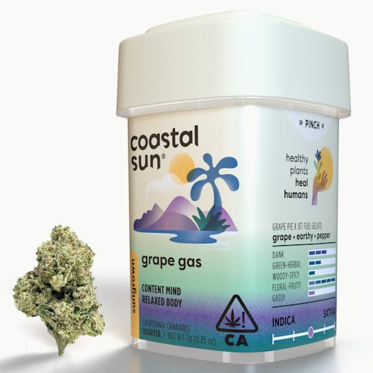 Coastal Sun - Grape Gas Sungrown Flower 7g - 1