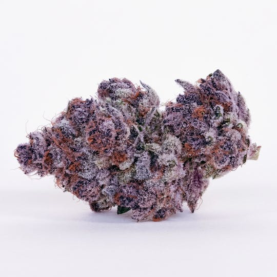 Pure Beauty - XOXO | 14.17g Indoor - 1