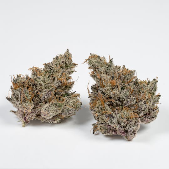 L.A. FAMILY FARMS - BRAIN STEW - 3.5g - 1
