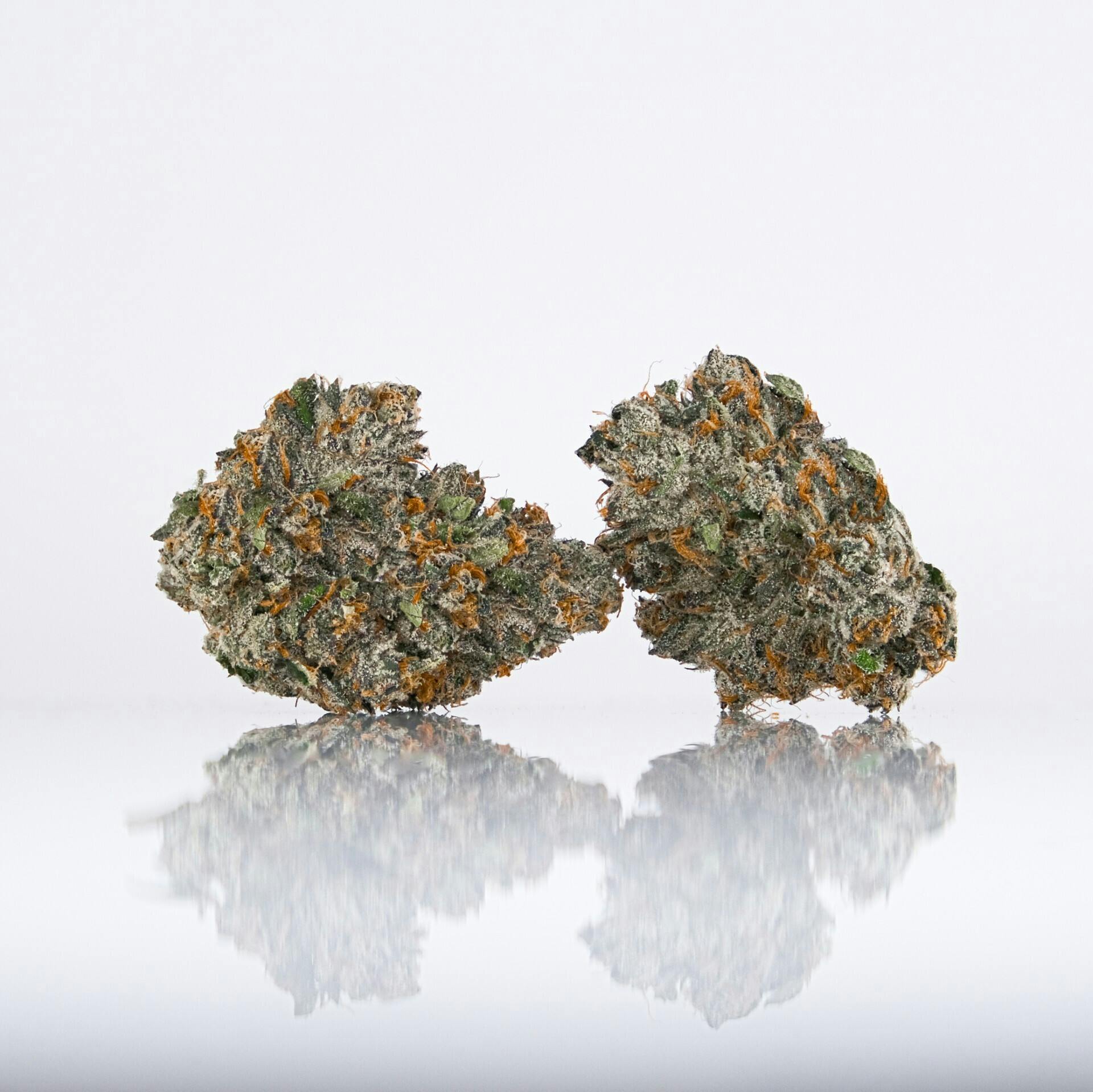 バクバクファクトリーページ　Tangie バクバクファクトリーページ Tangie Tangie Strain | THCa