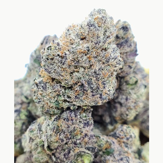 World Class Cannabis - Candy Runtz - 1