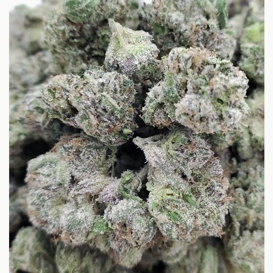 World Class Cannabis - Warheadz Smalls 14g - 1