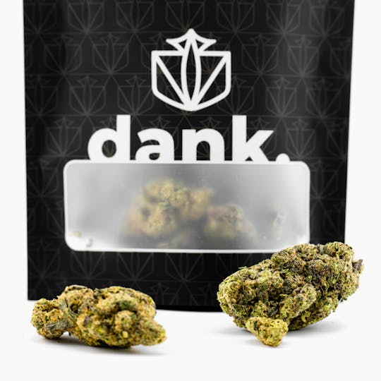Dank By Definition - GUSHERS (14 GRAMS) - 1