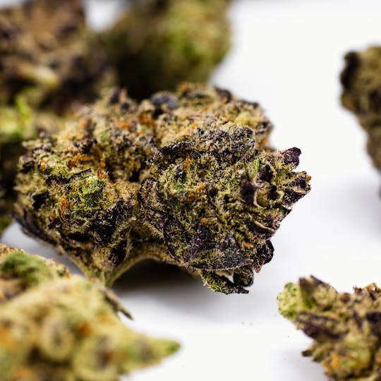 Dank By Definition - PURPLE OG (14 GRAMS) - 1