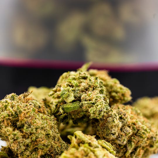 Dank By Definition - PURPLE PANTY DROPPER (14 GRAMS) - 1