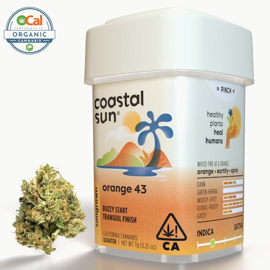 Coastal Sun - Orange 43 Sungrown Flower 7g - 1