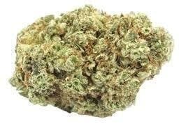 Cannafeen - Cannafeen | Gorilla Glue | Big Buds - 1