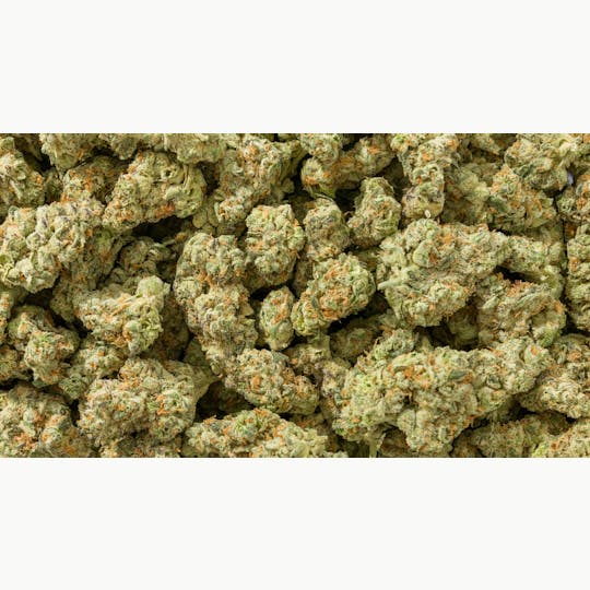 Glacier Cannabis - Glacier | Glacier Breath Legendary Hand-Trimmed Flower - 1