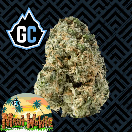 Glacier Cannabis - Glacier Cannabis | Maui Wowie 2.0 | Bulk Flower - 1
