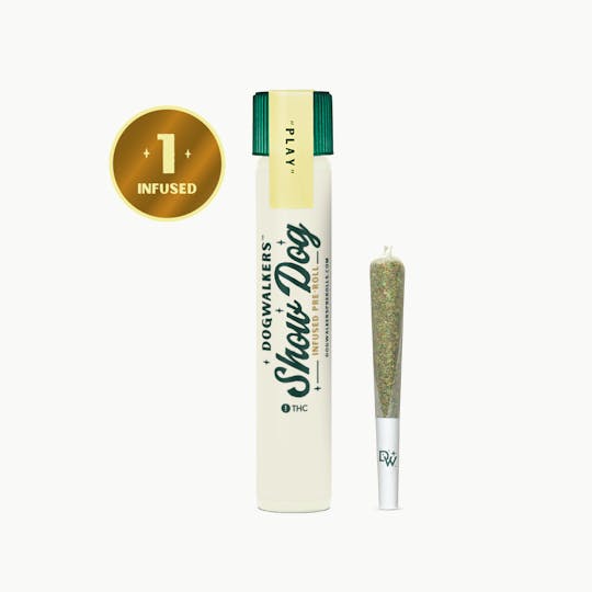 Dogwalkers - Dogwalkers Durban Z Big Show Dog Infused Pre Rolls 1g - 1
