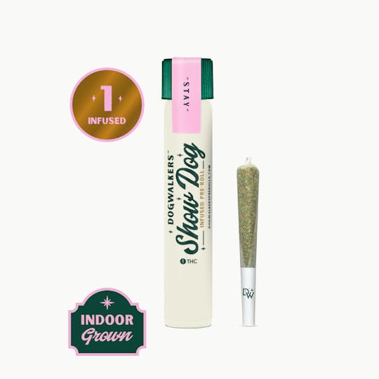 Dogwalkers - Dogwalkers Slapz Big Show Dog Infused Pre Roll 1g - 1