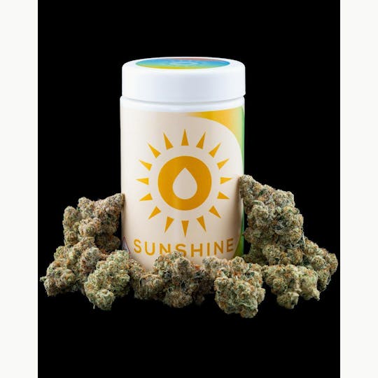 Sunshine - Black Velvet | Pre-Packaged 14G - 1