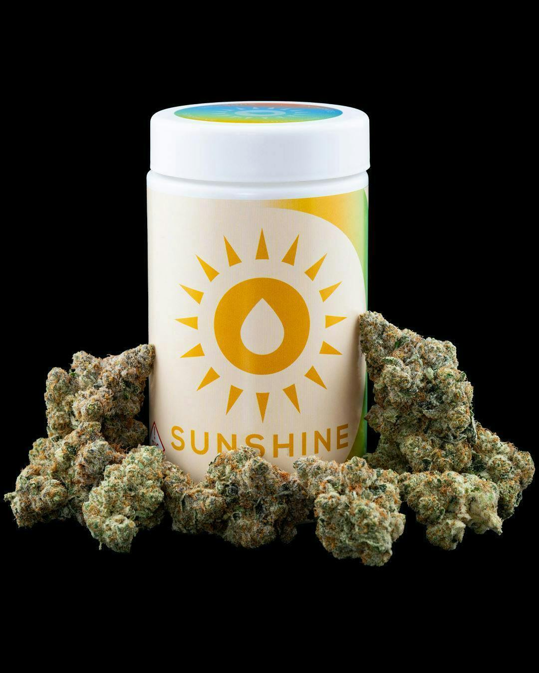 Sunshine - Calle Ocho | Pre-Packaged 14G - 1