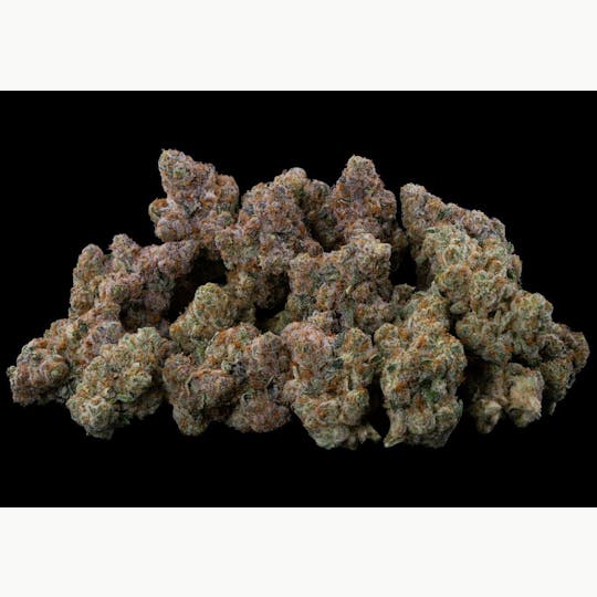 Sunshine - Apple Fritter | Bulk Flower - 1