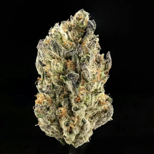 Casa Flor - Carbon 23 | Big Buds | 3.5g - 1