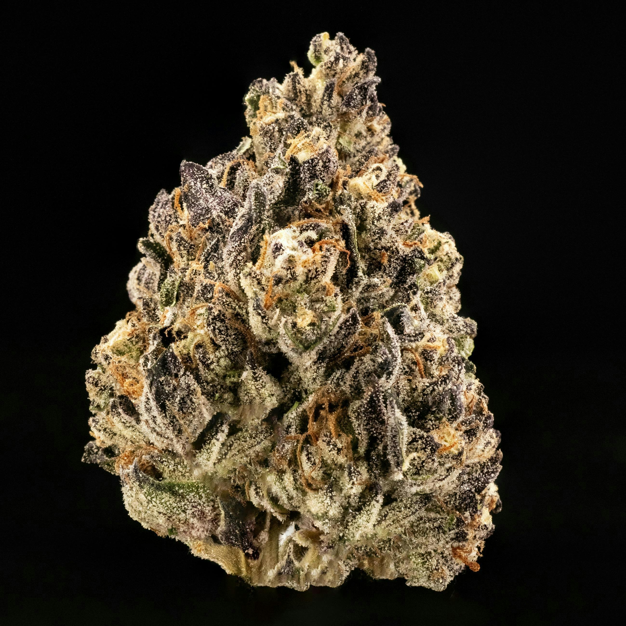 Casa Flor - Casa Flor | Maple Fumez | Big Buds | 3.5G - 1