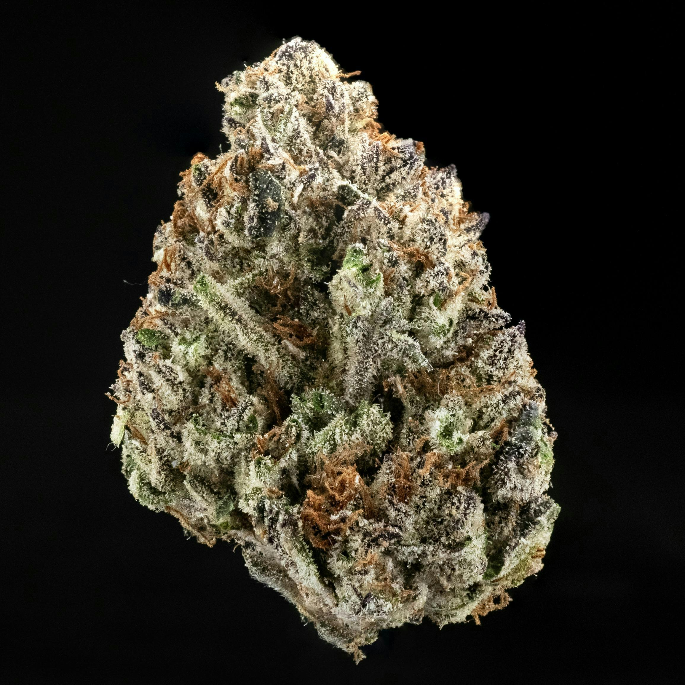 Casa Flor - Casa Flor | Aguas Fresca | Big Buds | 3.5G - 1