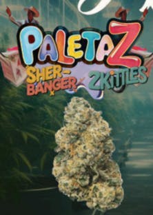 Casa Flor - Casa Flor | Purple Paletaz | Big Buds | 3.5G - 1