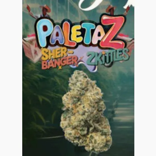 Casa Flor - Purple Paletaz | Big Buds | 3.5g - 1