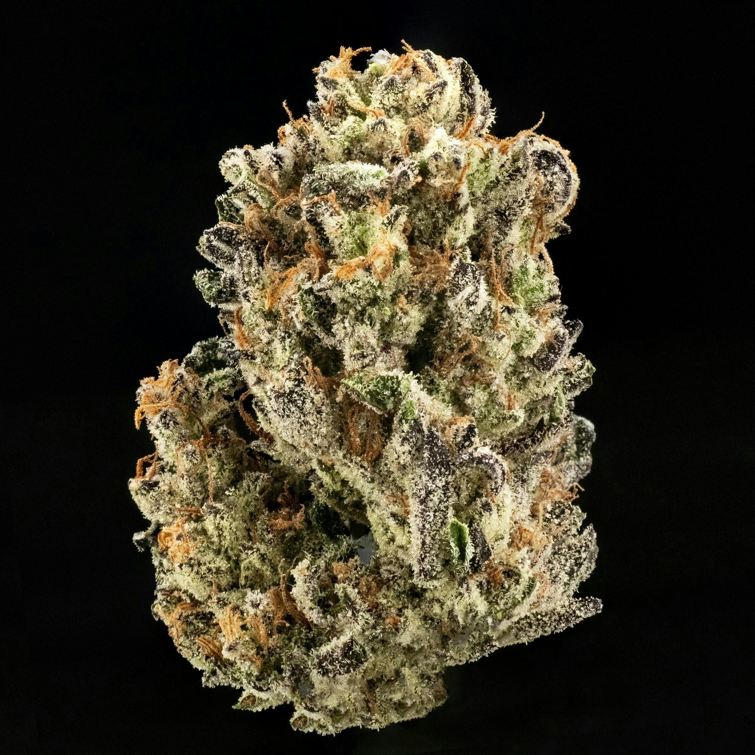 Casa Flor - Casa Flor | Government Oasis | Big Buds | 3.5G - 1