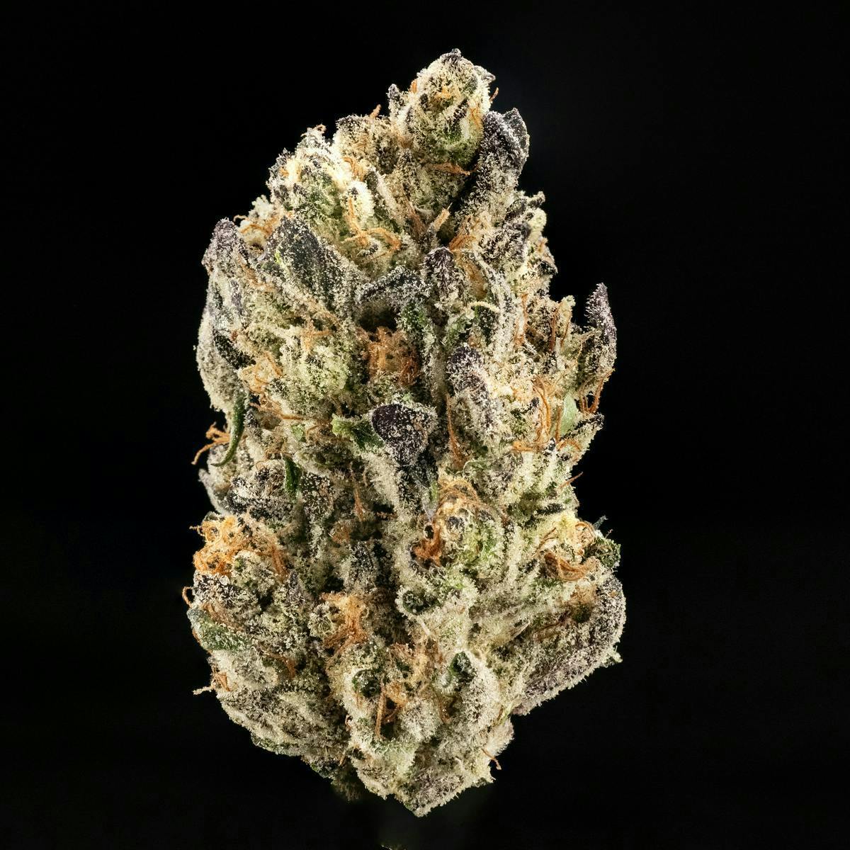 Casa Flor - Casa Flor | Carbon 23 | Big Buds | 14G - 1