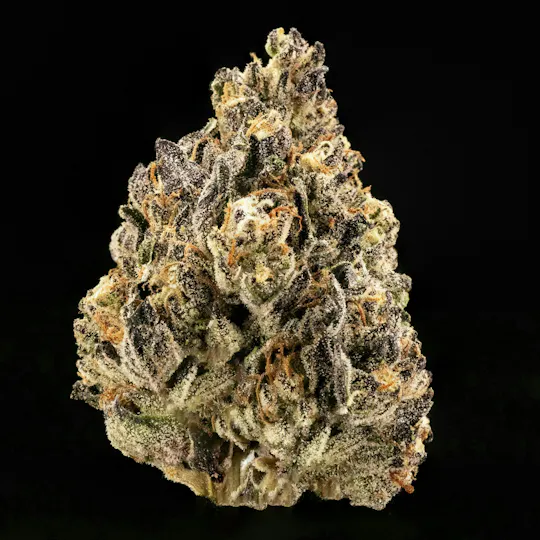 Casa Flor - Maple Fumez | Big Buds | 14g - 1