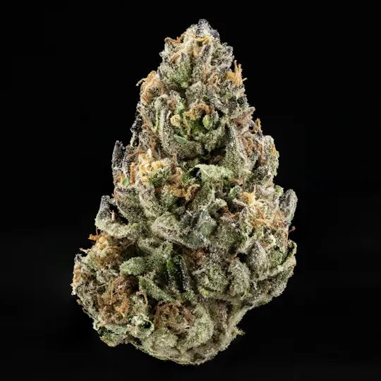 Casa Flor - Casa Flor | Purple Paletaz | Big Buds | 14G - 1
