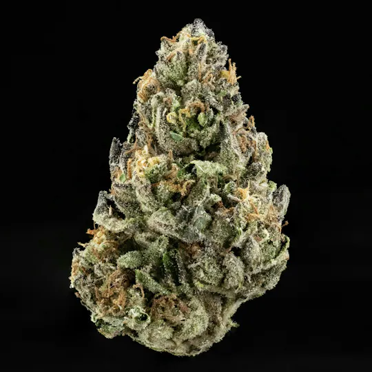 Casa Flor - Purple Paletaz | Big Buds | 14g - 1