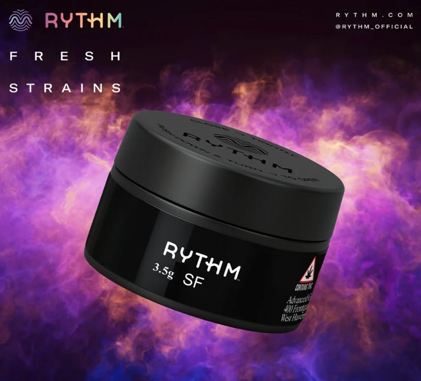 RYTHM - RYTHM 3.5G SF ANIMAL FACE (I) - 1