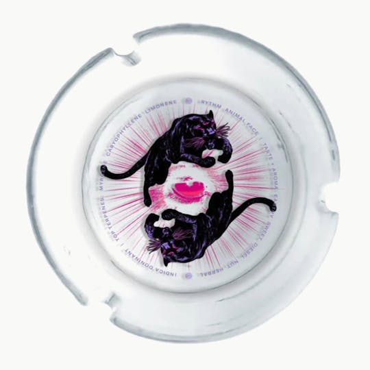 RYTHM - RYTHM Clear Glass Ashtray - Animal Face - 1