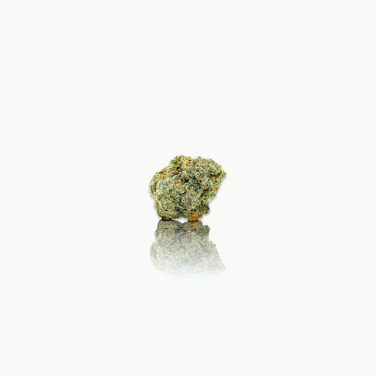 CAM - CAM | Brain Dead (1g) - 1